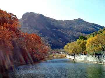 澳门正版资料免费大全新闻，海意背景